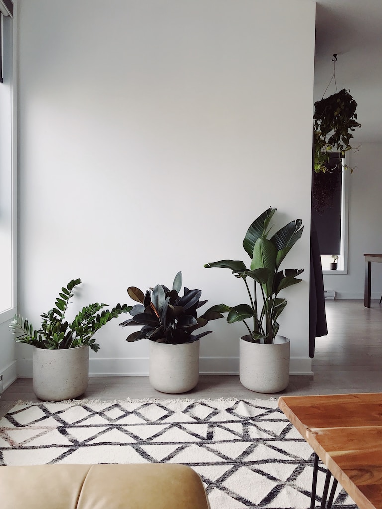 Natural Plants